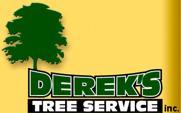 derek's tree service
